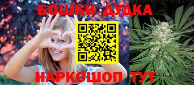 Альфа ПВП Будённовск