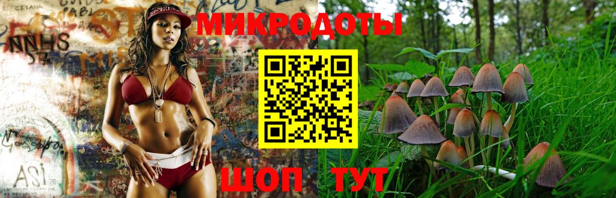 Галлюциногенные грибы Psilocybine cubensis  Вход с VPN  купить наркотики цена  Хасавюрт 