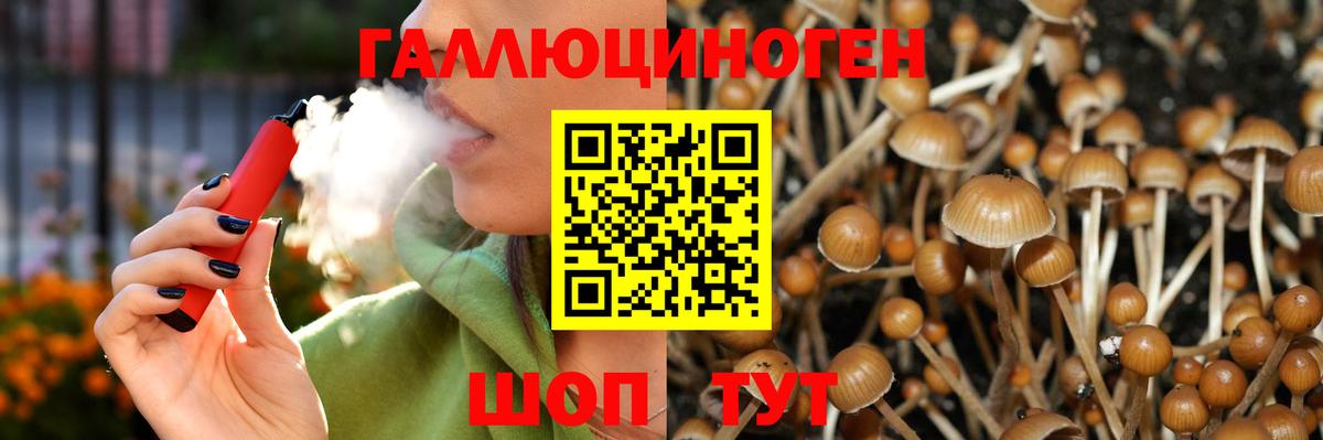 Галлюциногенные грибы Magic Shrooms Хасавюрт